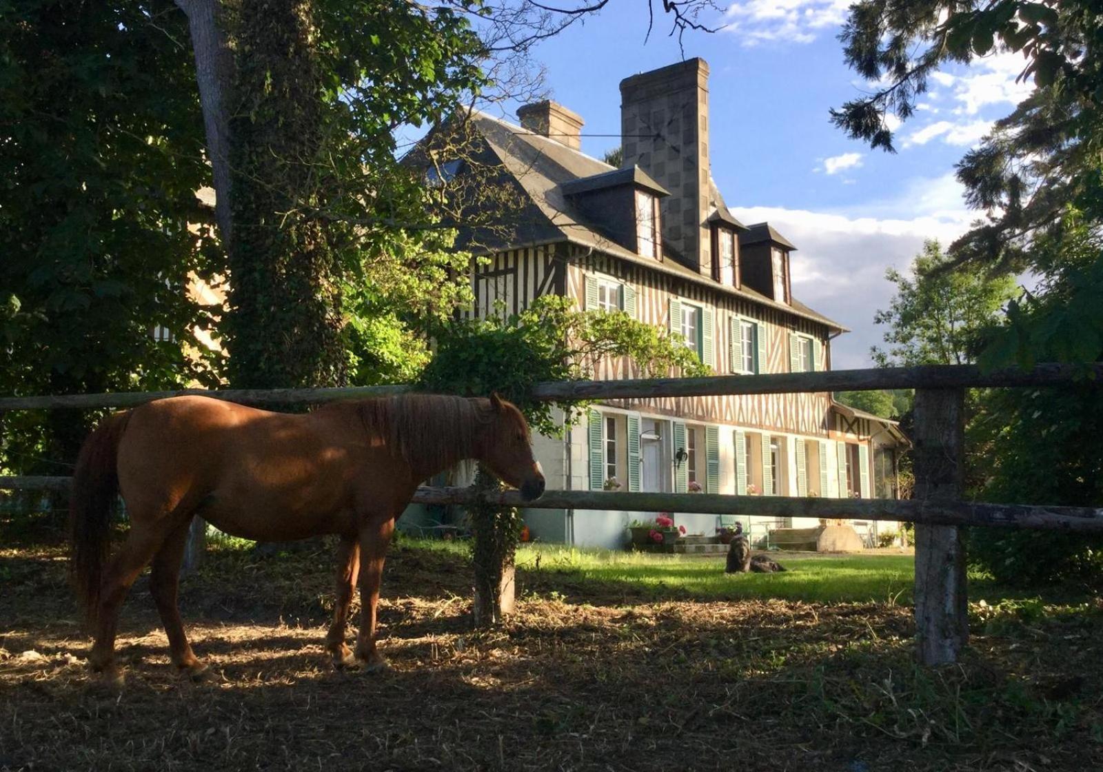 Le Domaine Lieu Bill, Normandie Блонвіль-сюр-Мер Екстер'єр фото